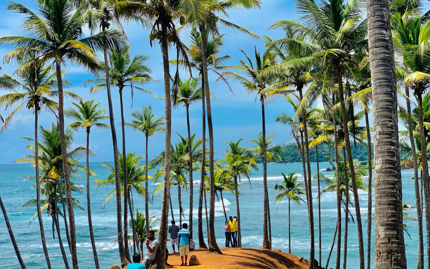 Coconut Tree Hill, above the bay