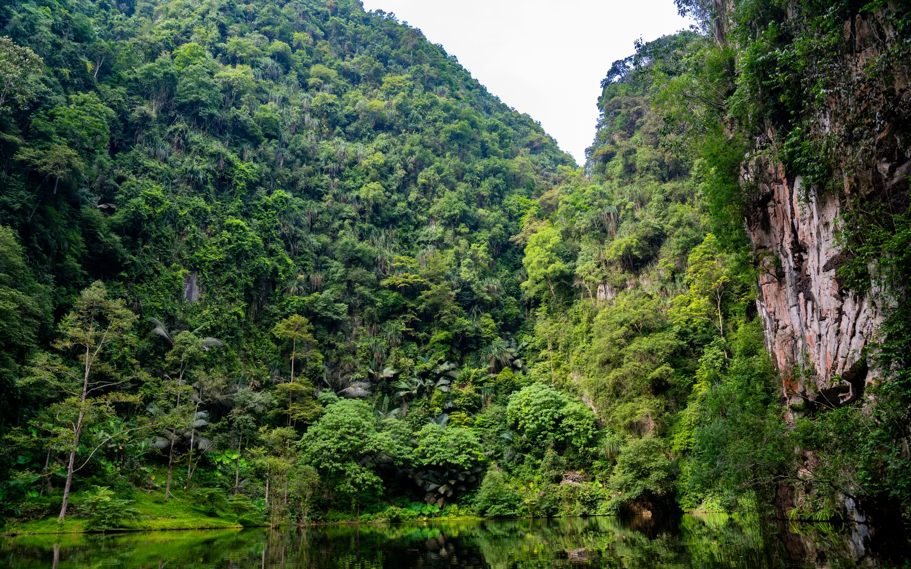 A limestone lake outside Ipoh