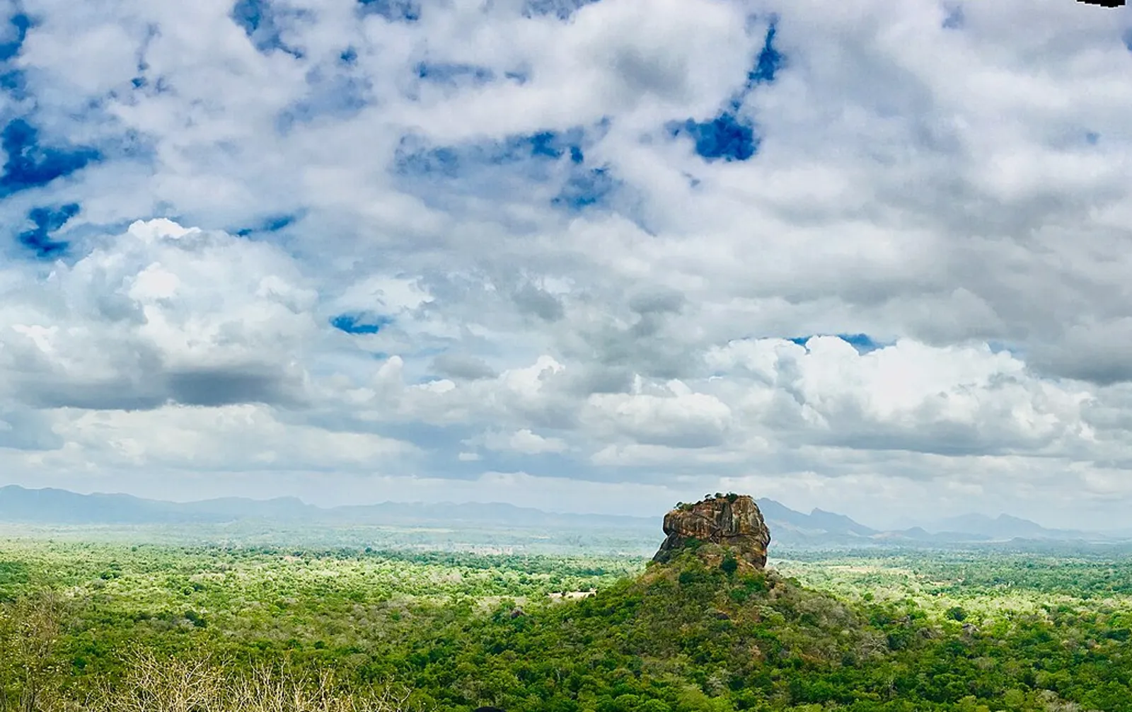 The rock above the canopy