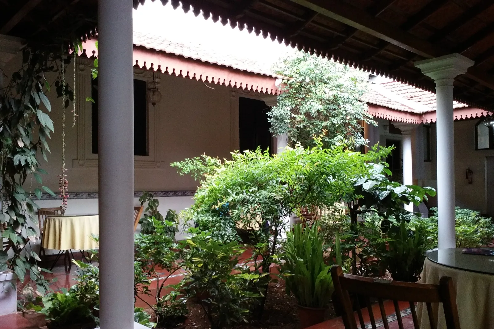 A shaded veranda cafe, plants crowding the columns, a chair waiting